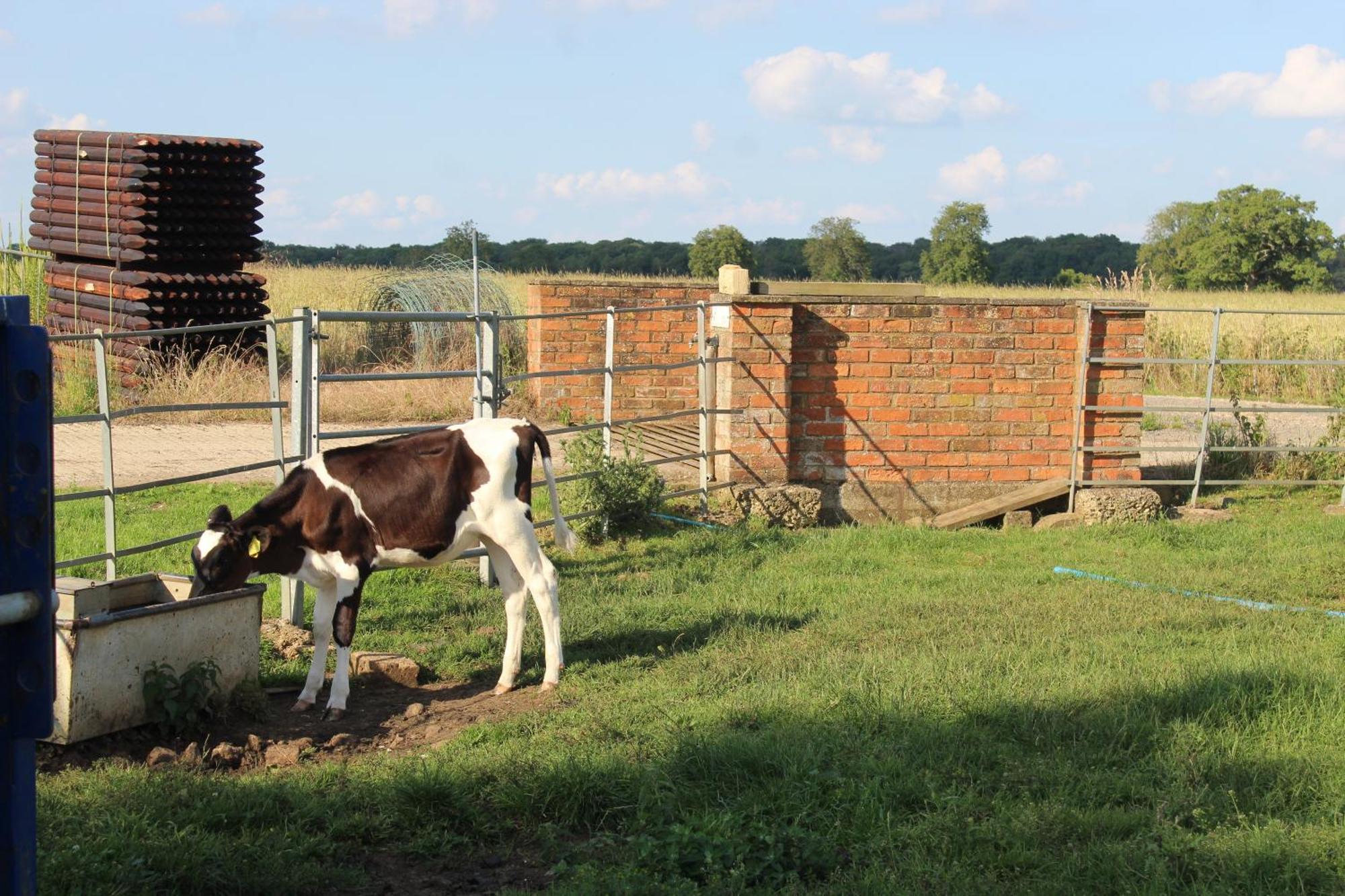 Parkfields Barns Self Catering Accommodation Buckingham Zewnętrze zdjęcie
