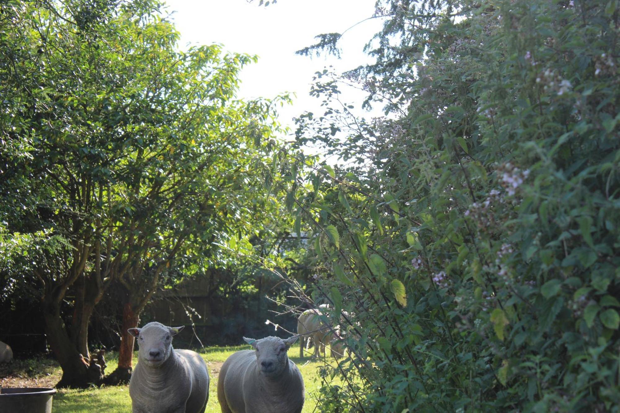 Parkfields Barns Self Catering Accommodation Buckingham Zewnętrze zdjęcie