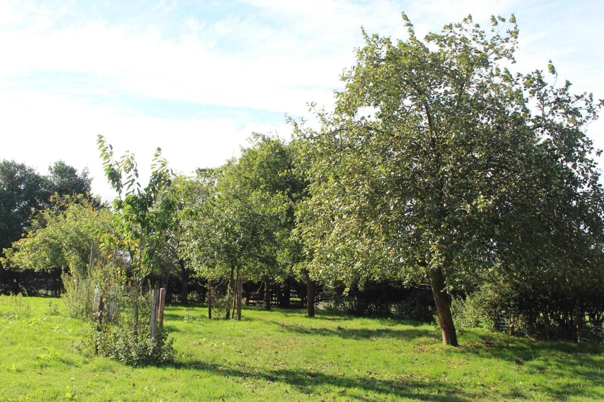 Parkfields Barns Self Catering Accommodation Buckingham Zewnętrze zdjęcie